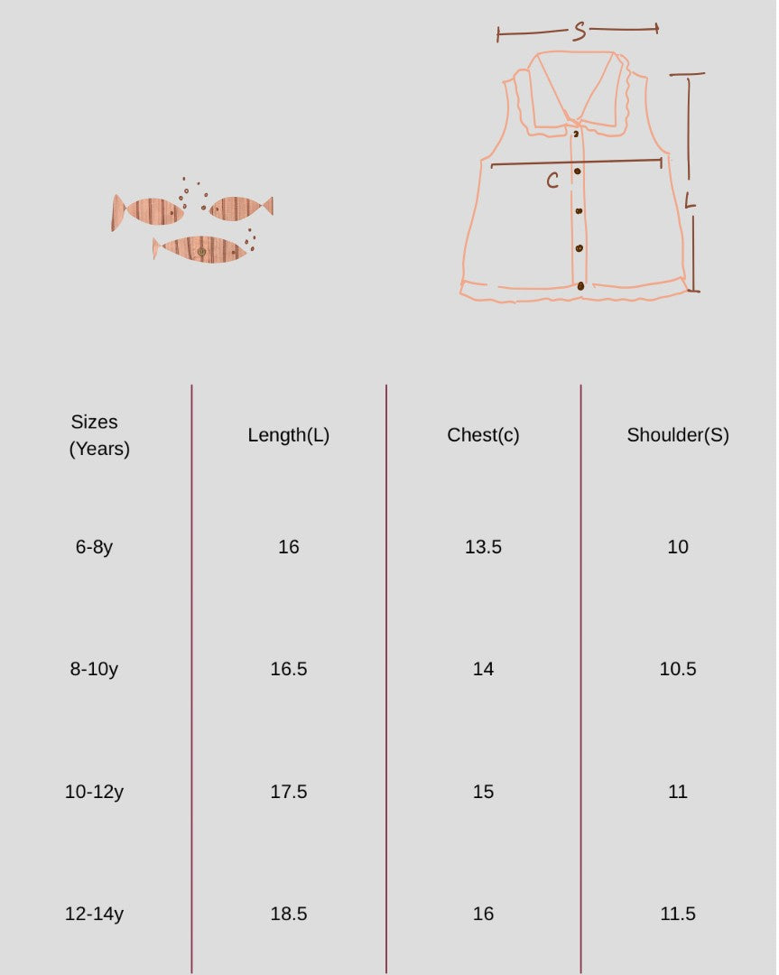 Blush Ruffle Handloom Top